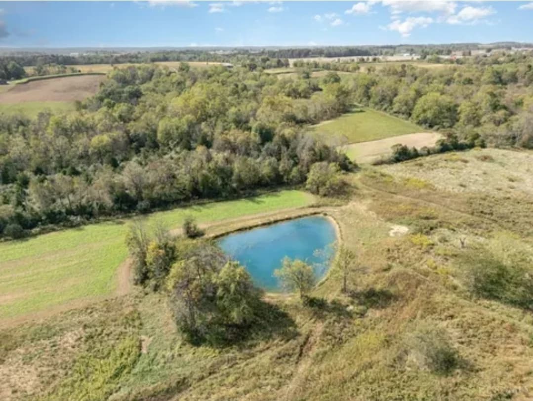 Aerial view of woodland and a pond at the Reserve