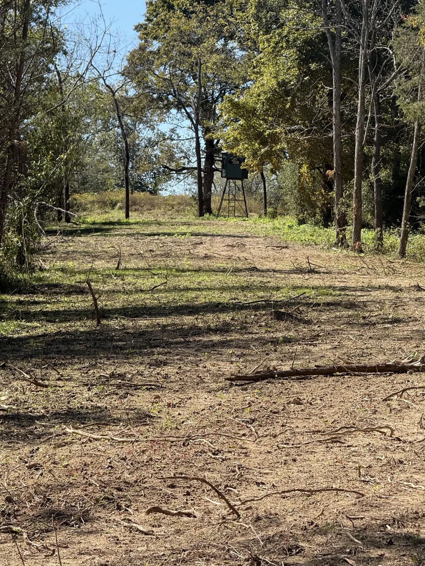 A wooded path on the Reserve property